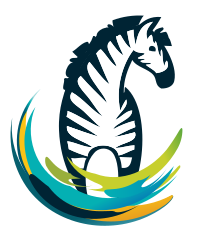 00496 Colorful zebra-02