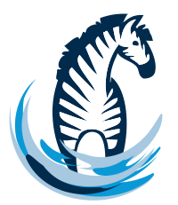 00496 Colorful zebra-05