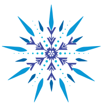 1203 Logo étoile flocon de neige-01