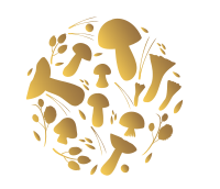 1435 champignons logo-02